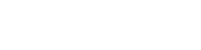 Surface NL logo